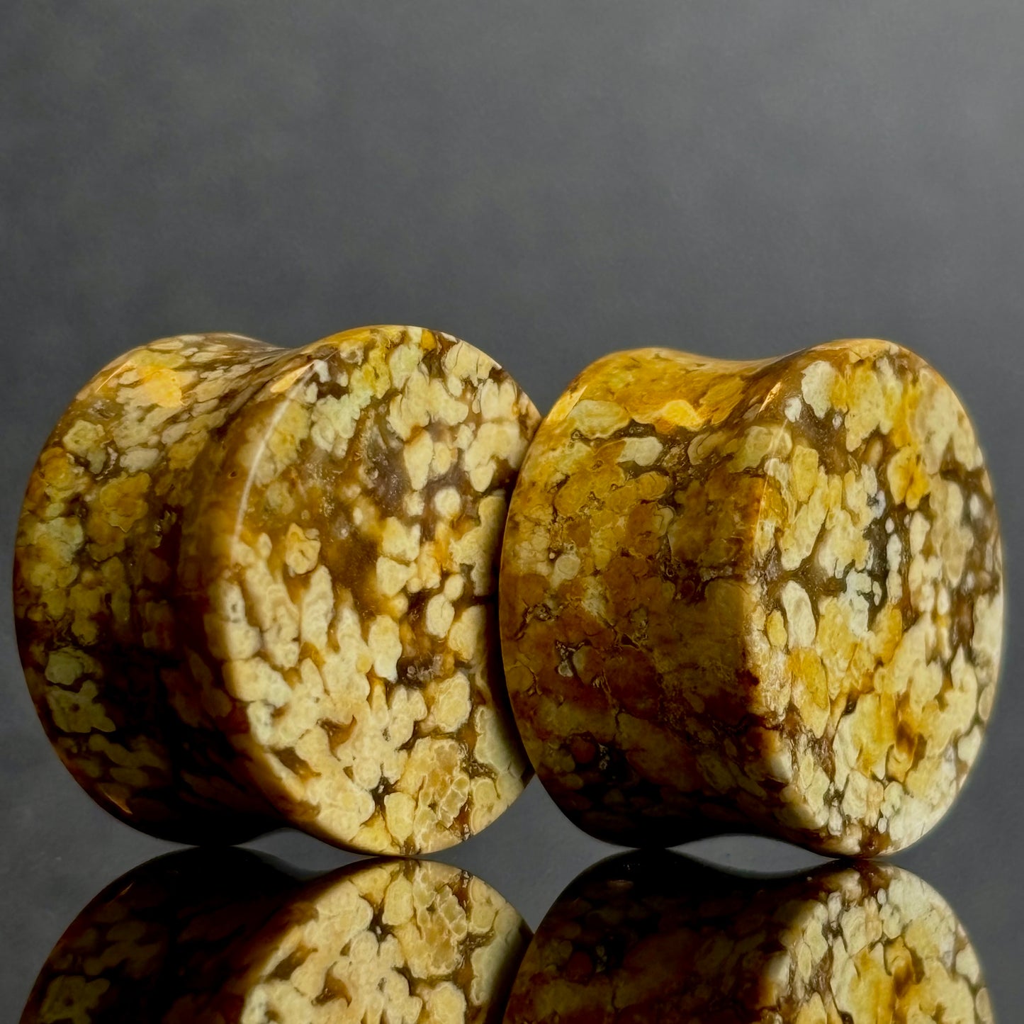 3/4" / 19mm Agatized Palm Wood