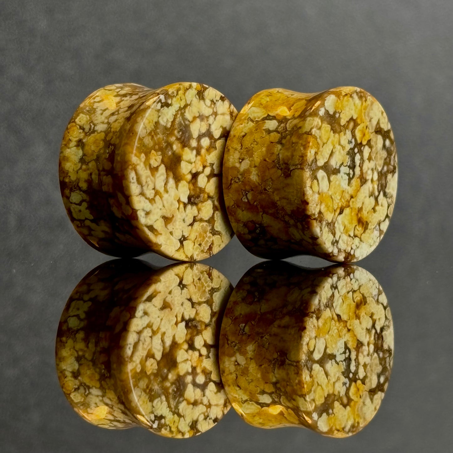 3/4" / 19mm Agatized Palm Wood