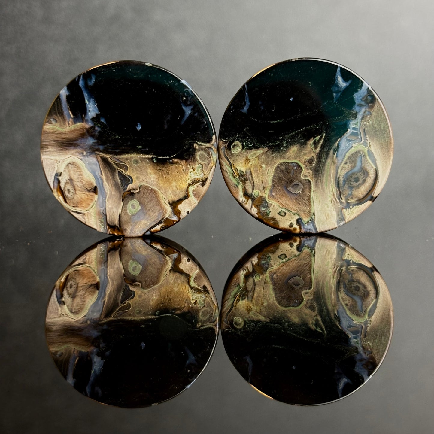 1" / 25mm Petrified Palm Root