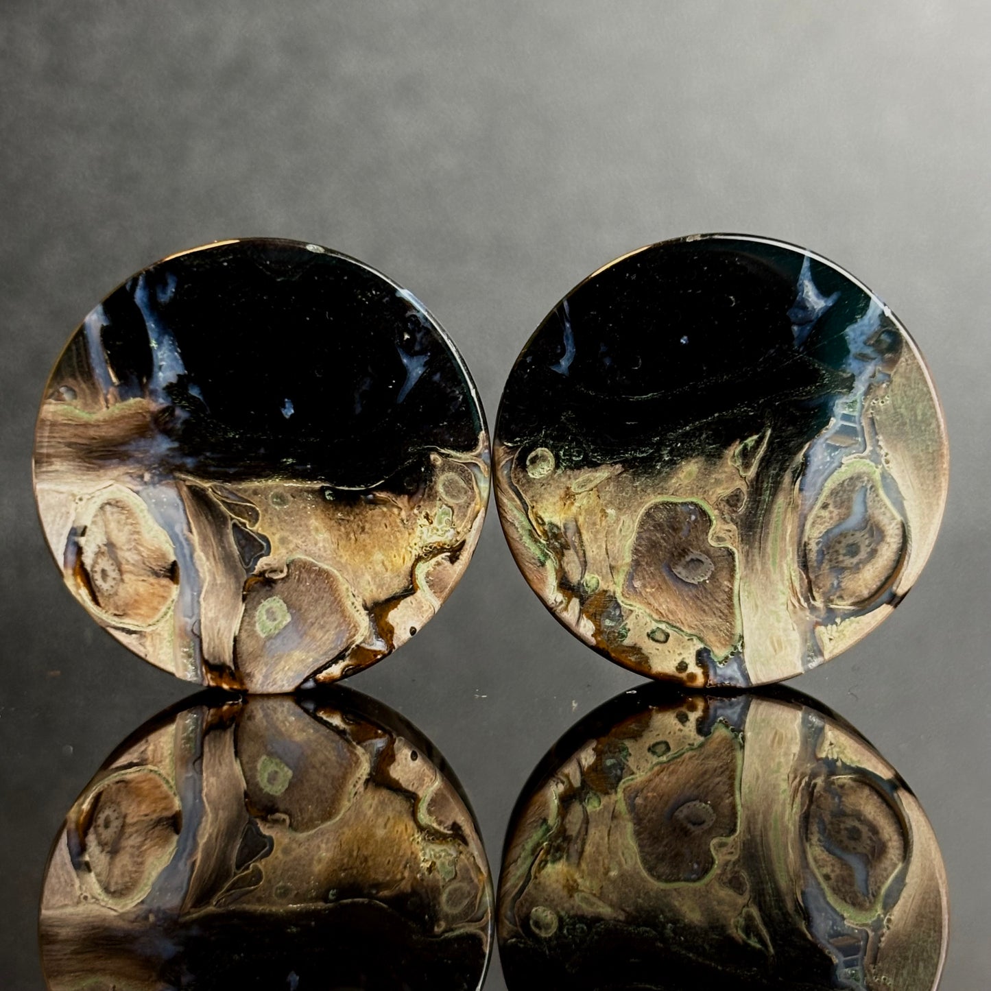 1" / 25mm Petrified Palm Root