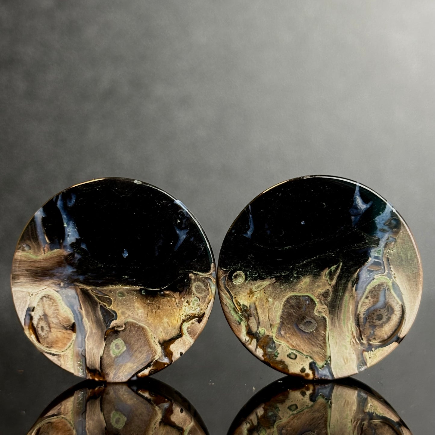 1" / 25mm Petrified Palm Root