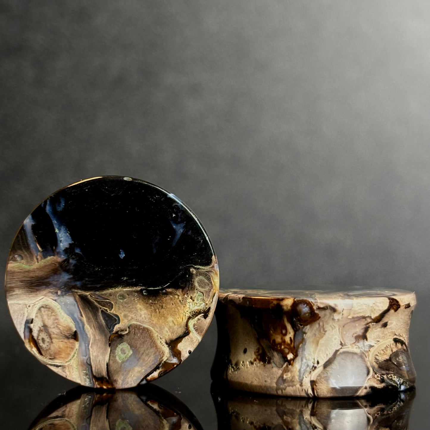 1" / 25mm Petrified Palm Root