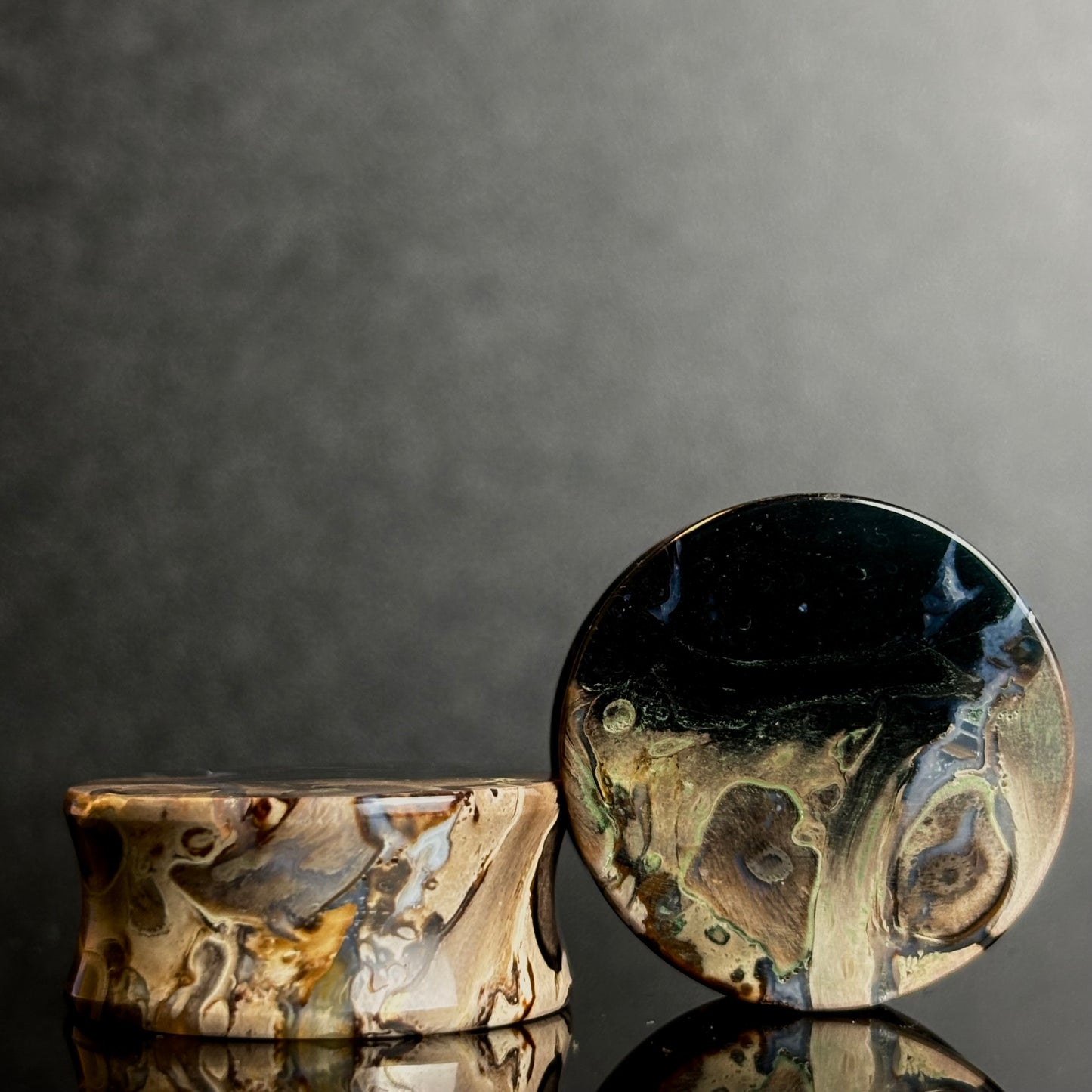 1" / 25mm Petrified Palm Root