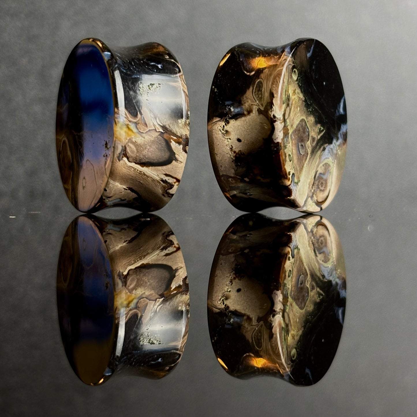 1" / 25mm Petrified Palm Root