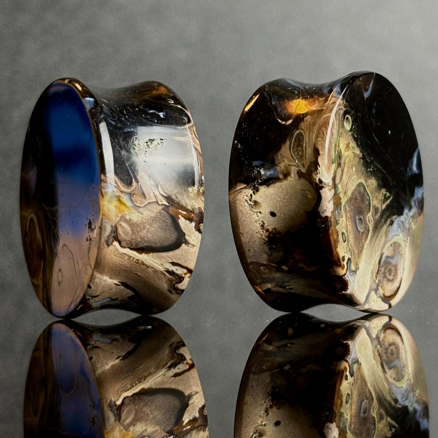 1" / 25mm Petrified Palm Root