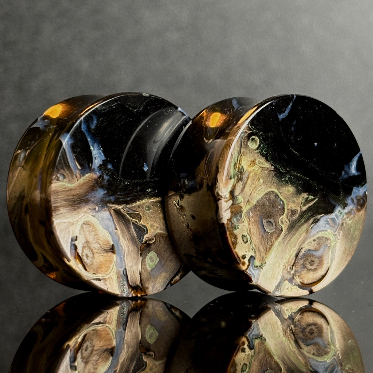 1" / 25mm Petrified Palm Root
