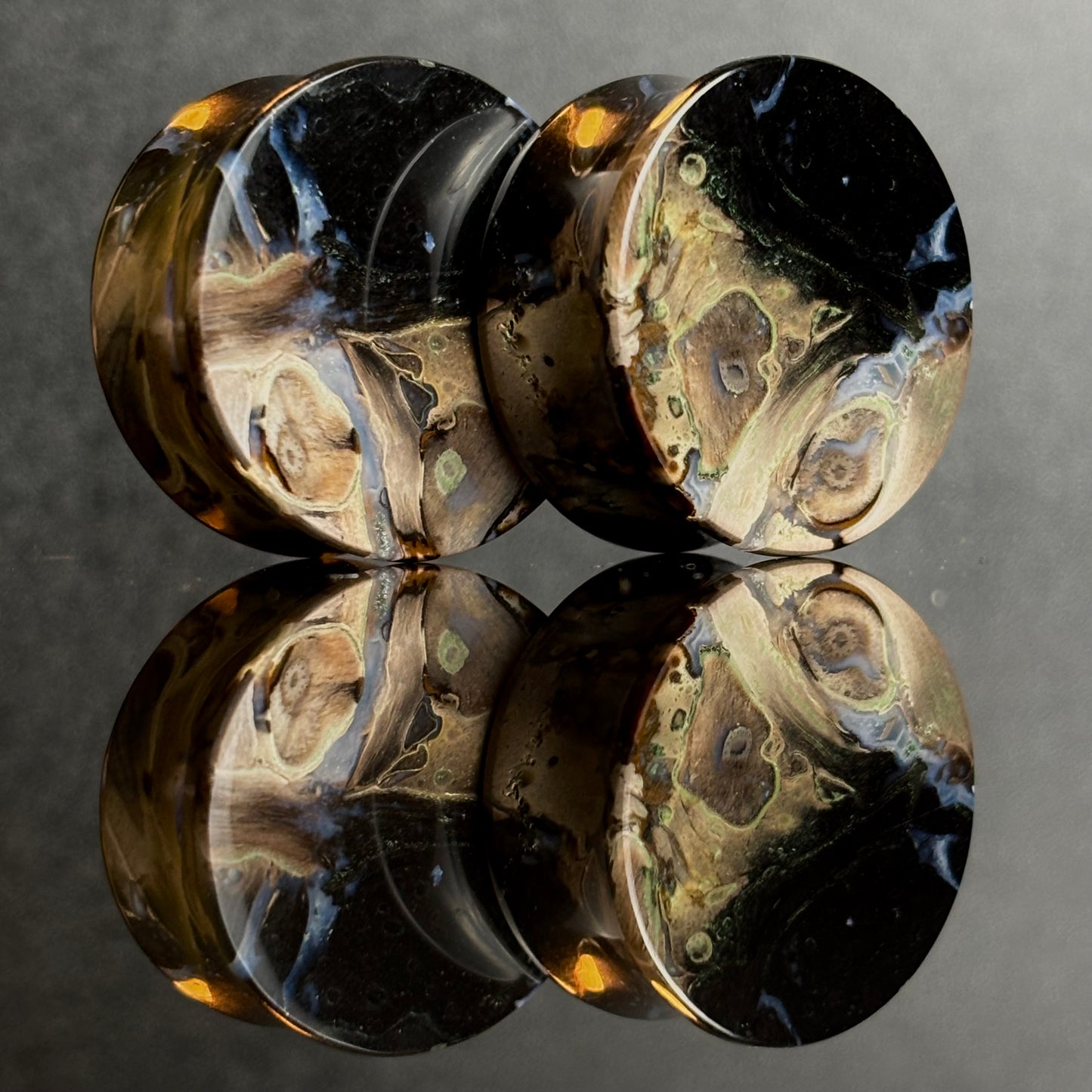 1" / 25mm Petrified Palm Root
