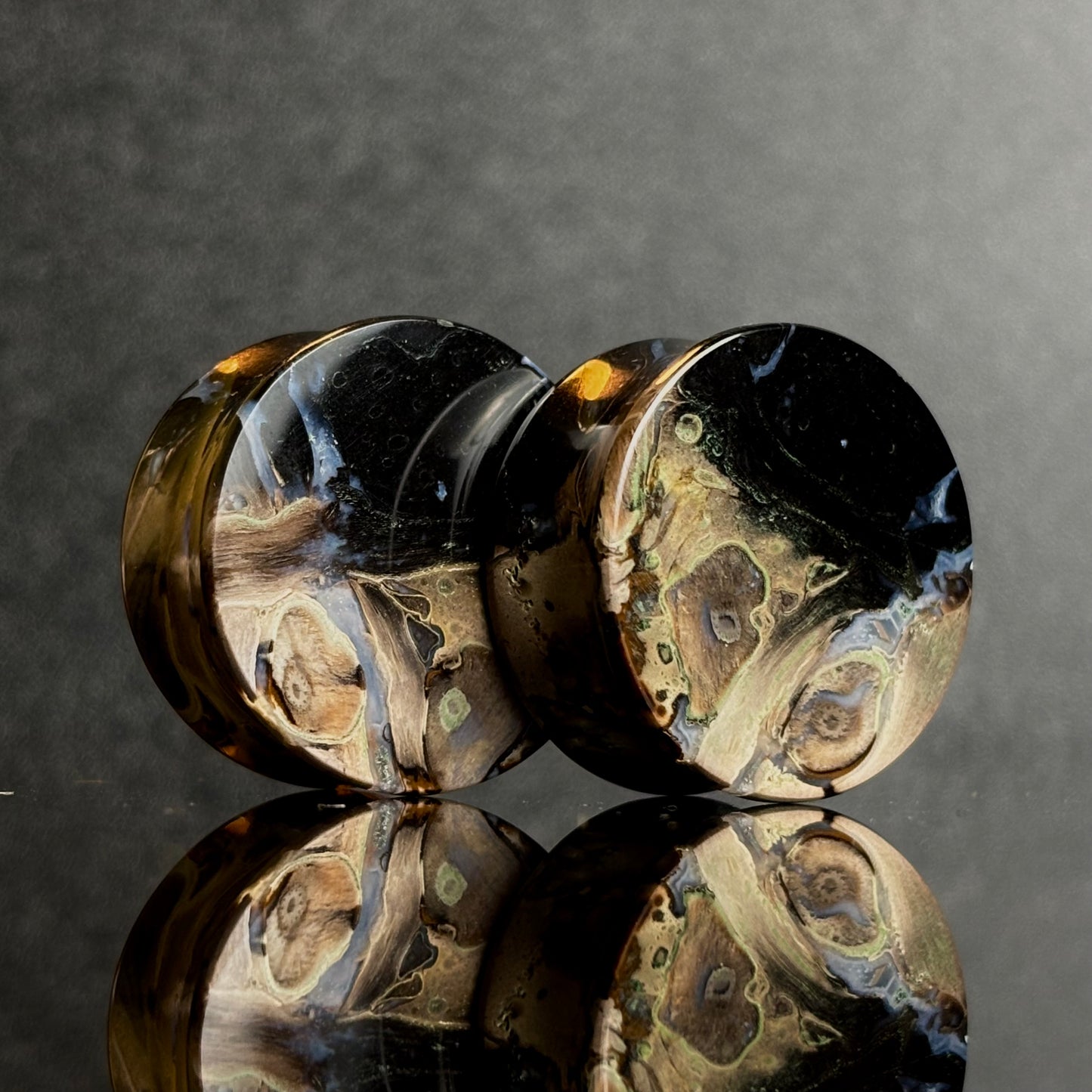 1" / 25mm Petrified Palm Root