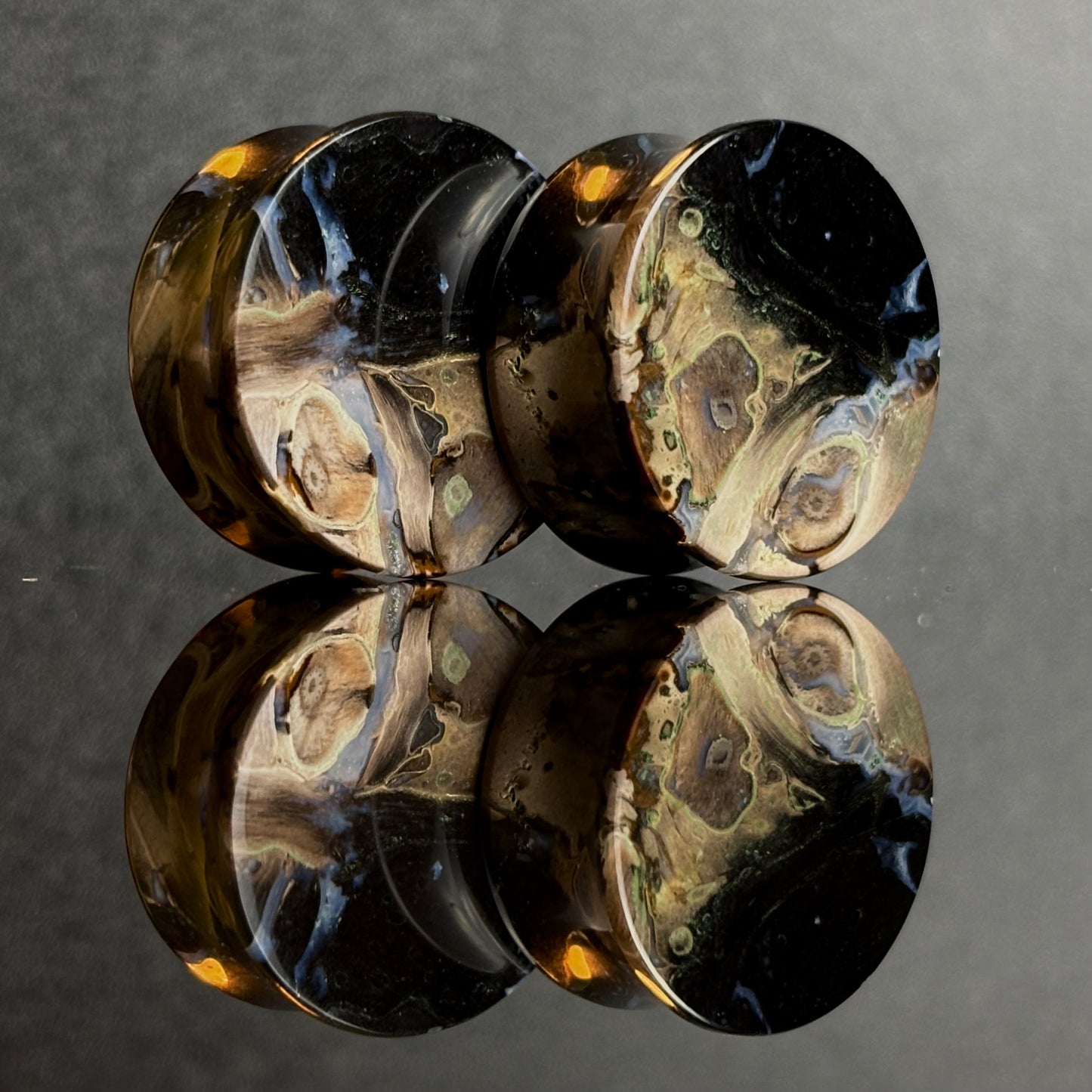 1" / 25mm Petrified Palm Root