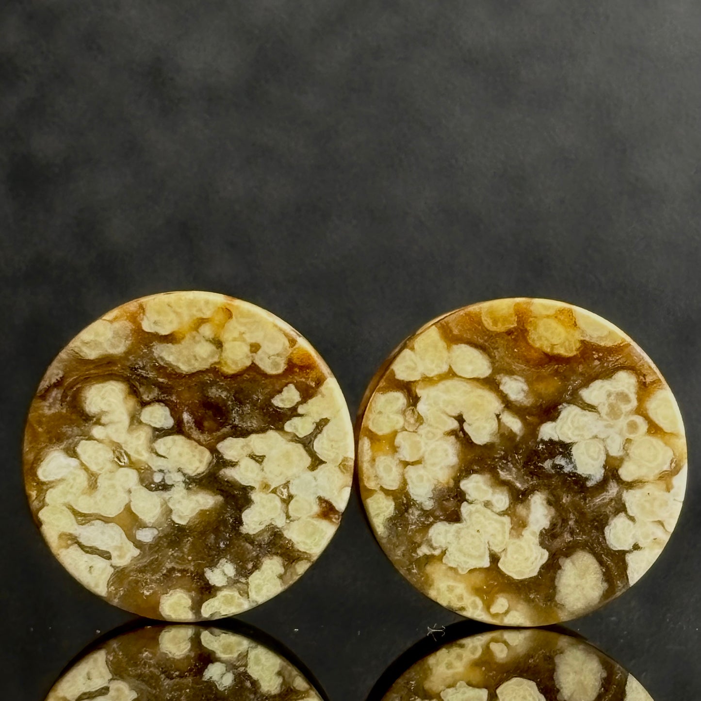 1/2 / 12mm Agatized Palm Wood