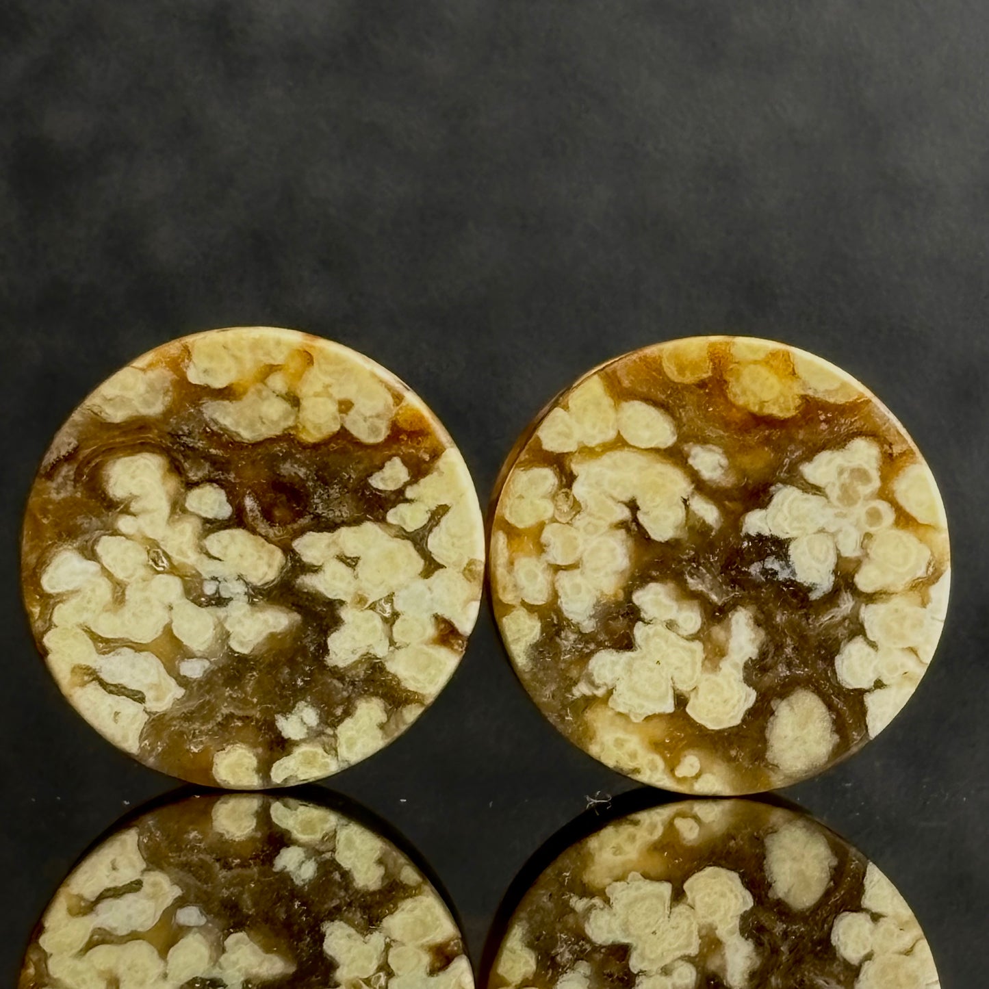1/2 / 12mm Agatized Palm Wood