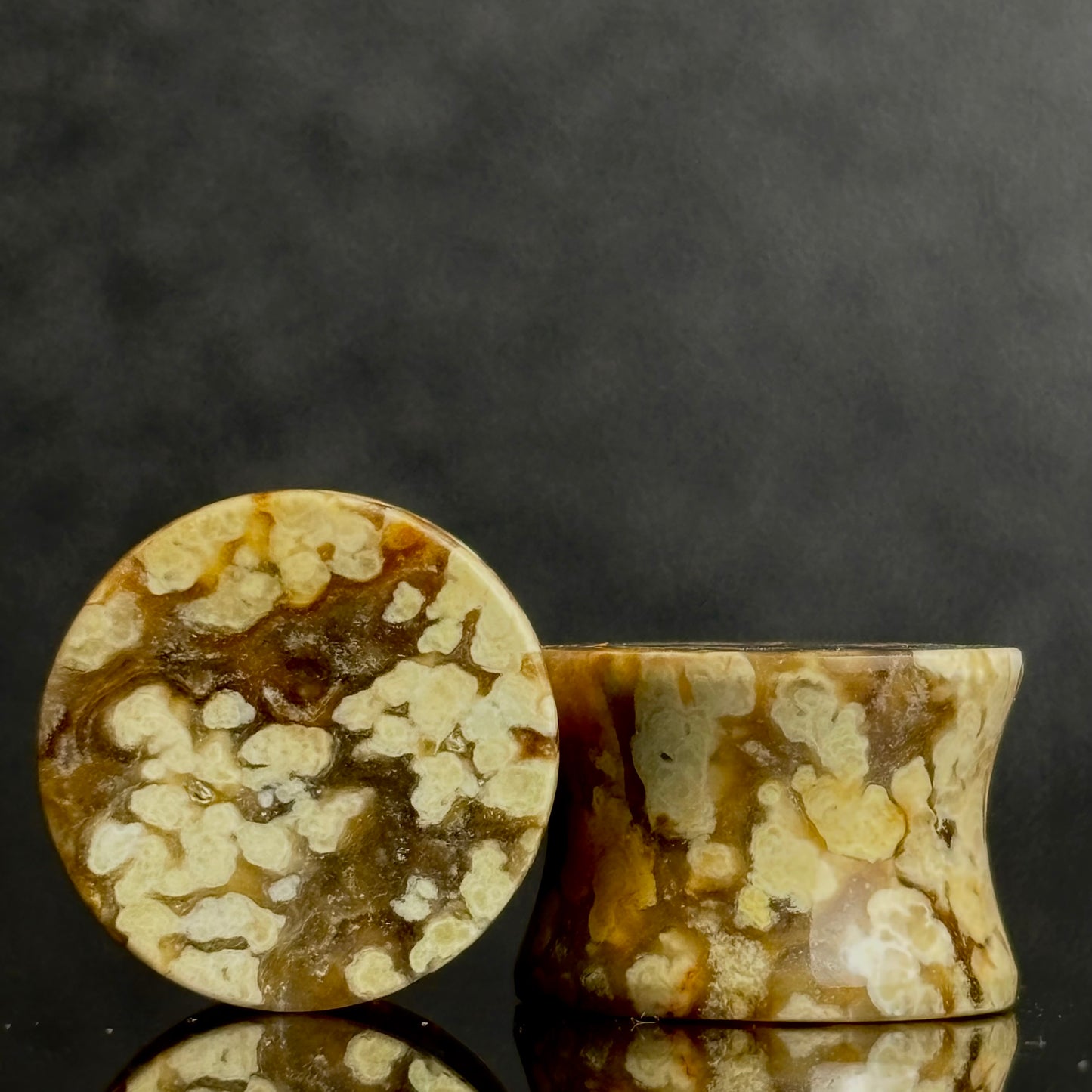 1/2 / 12mm Agatized Palm Wood