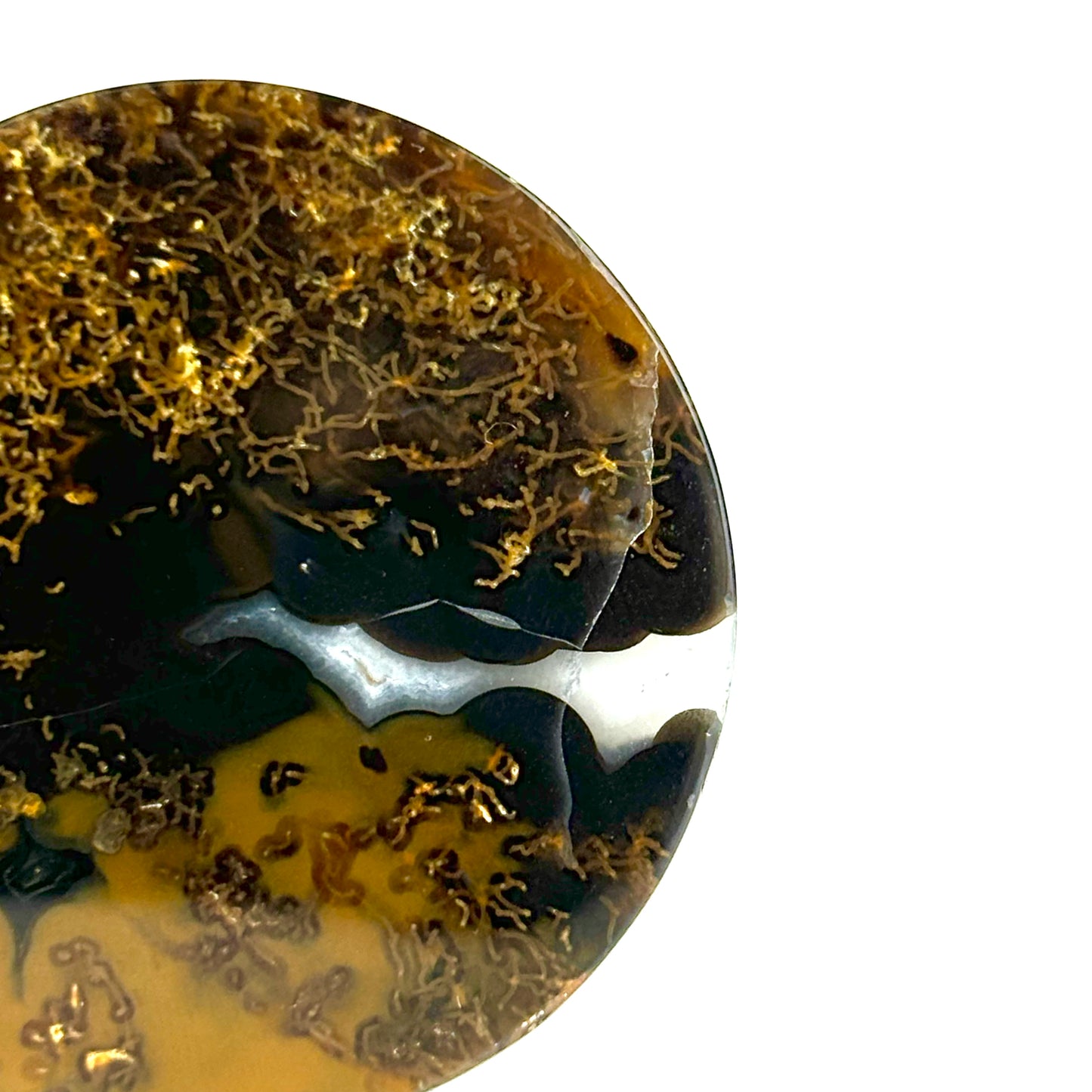 timor agate 1.10" (28mm)