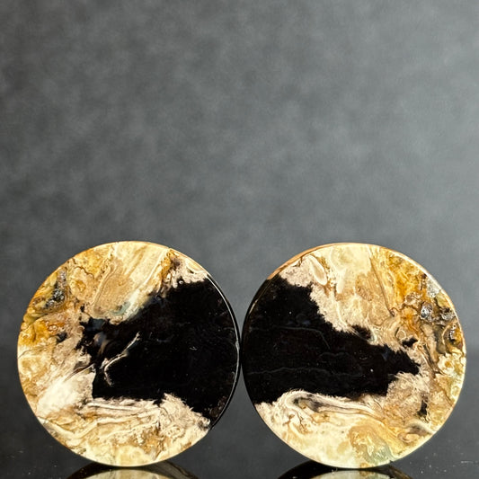 7/8" / 22mm Petrified Palm Root