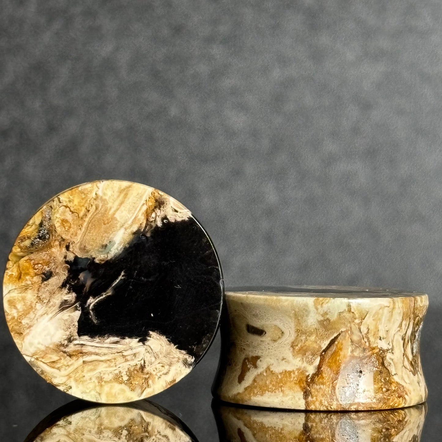 7/8" / 22mm Petrified Palm Root