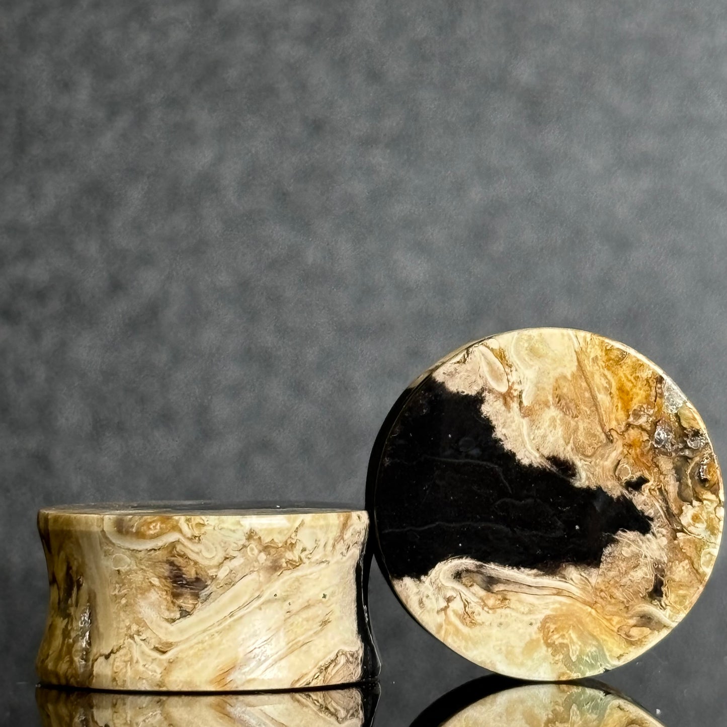 7/8" / 22mm Petrified Palm Root