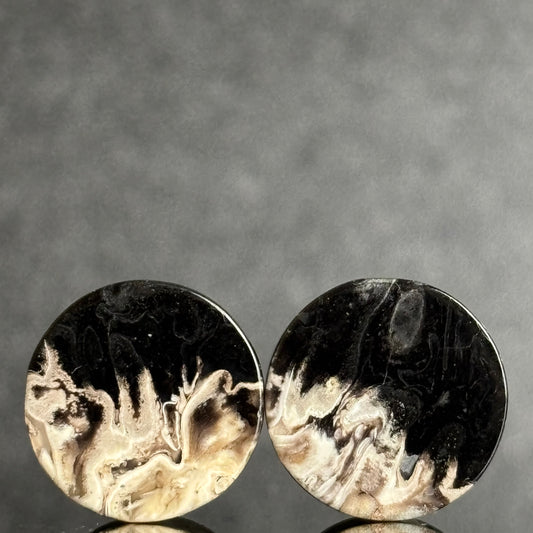 9/16" / 14mm Petrified Palm Root