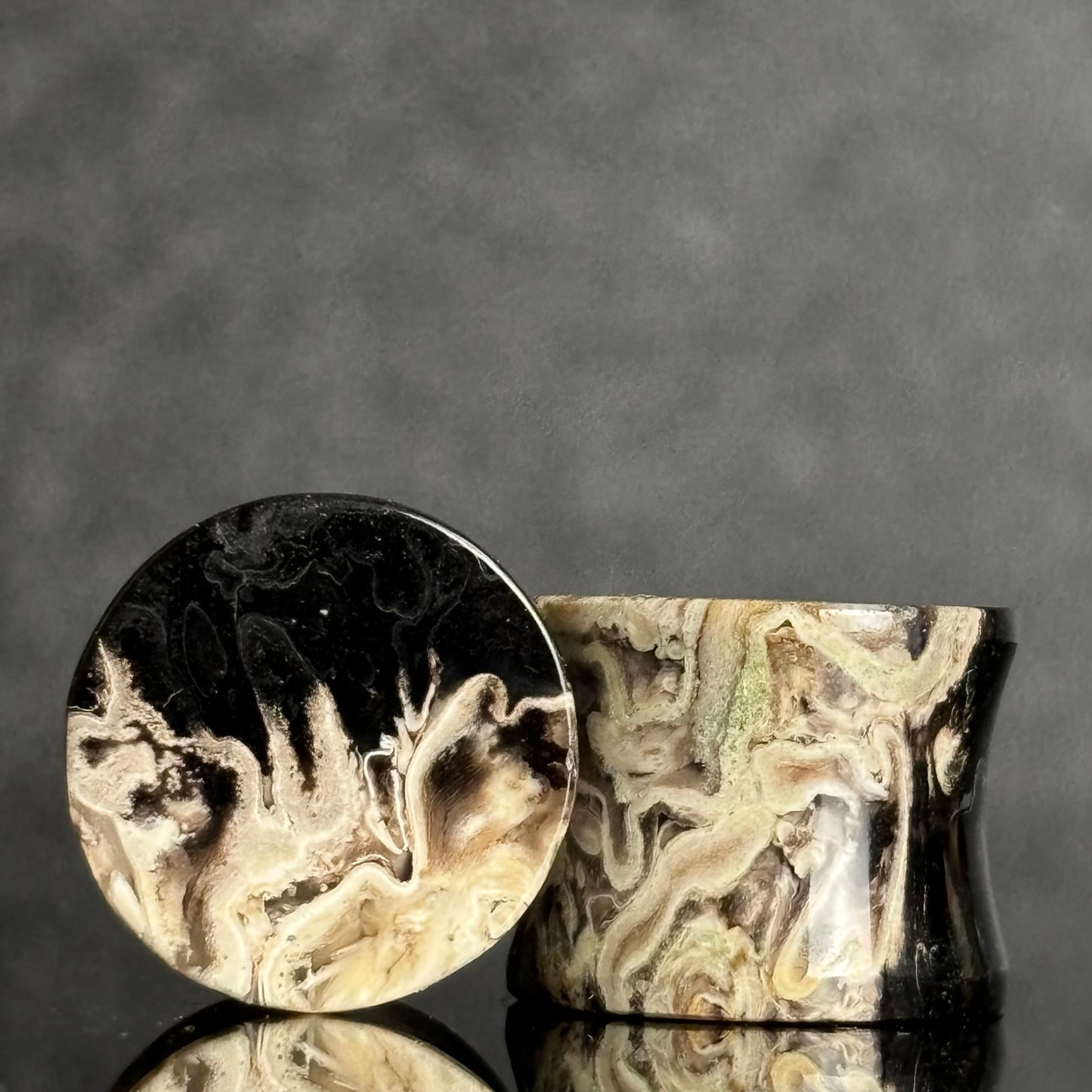 9/16" / 14mm Petrified Palm Root