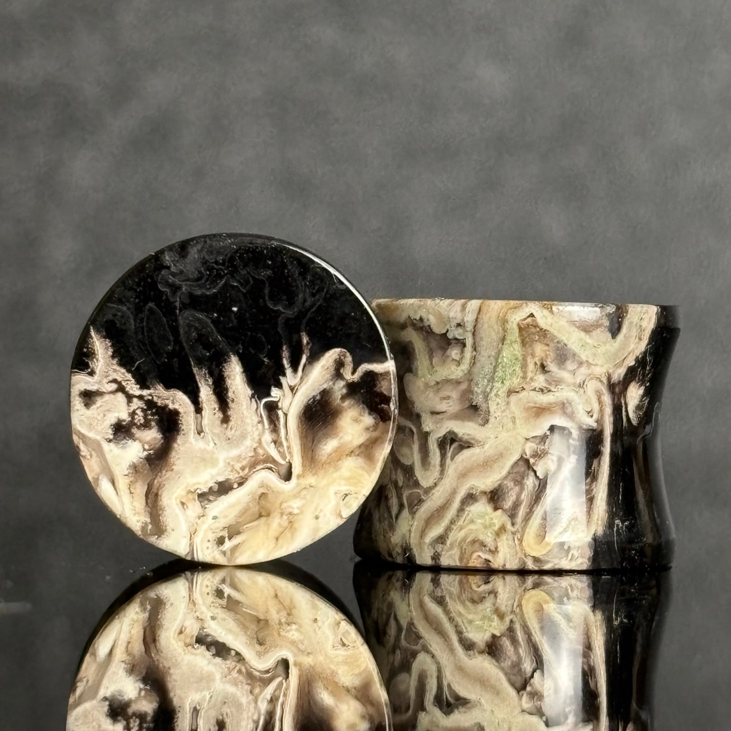 9/16" / 14mm Petrified Palm Root