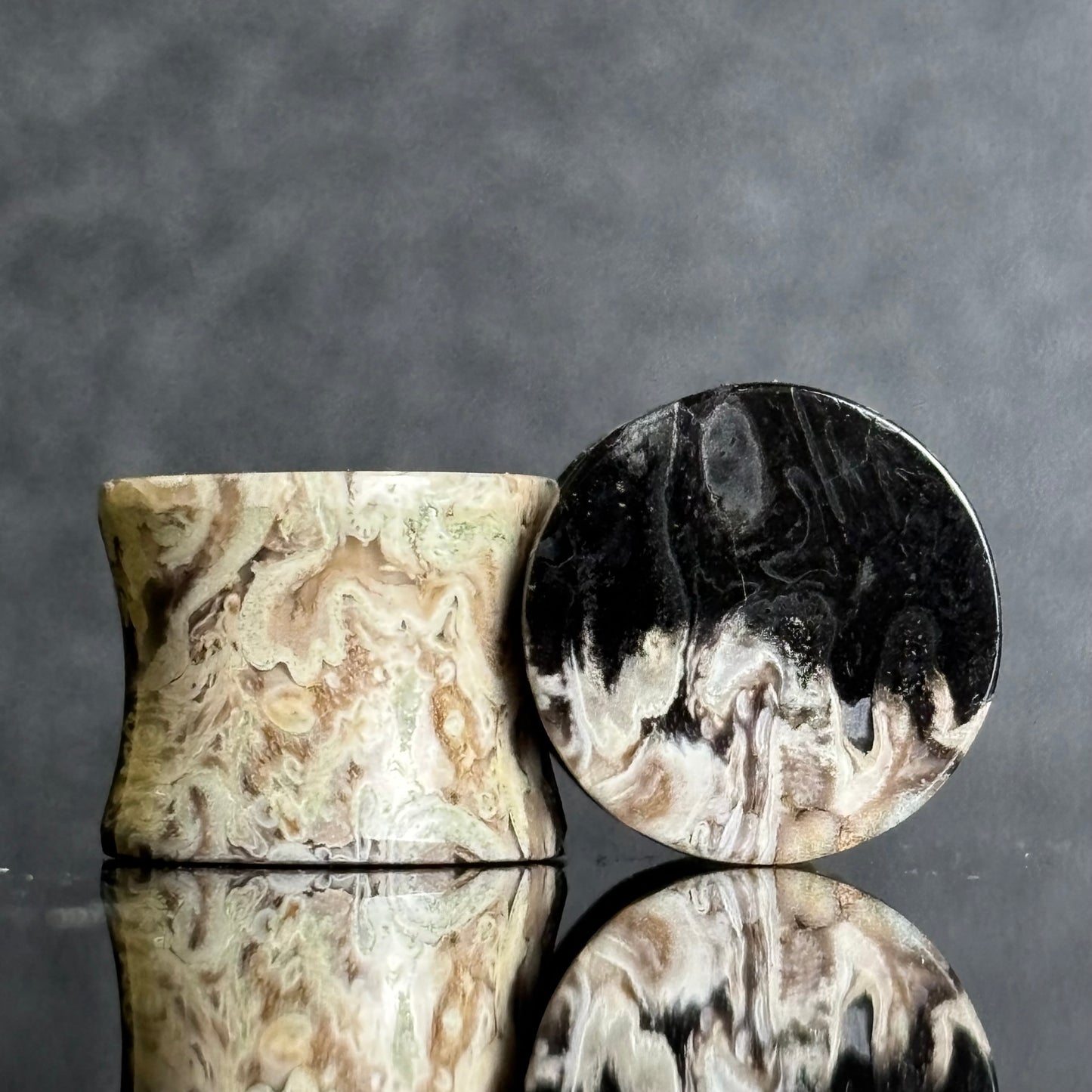 9/16" / 14mm Petrified Palm Root
