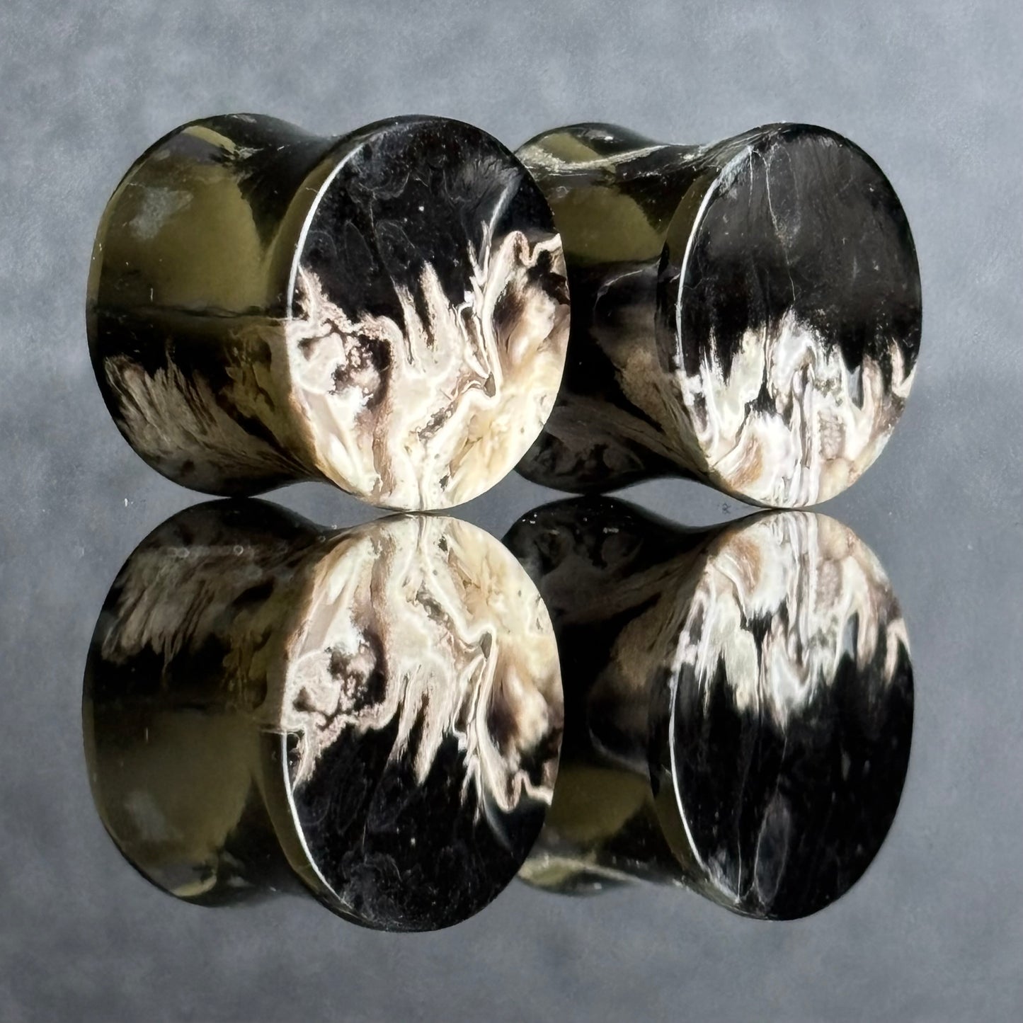 9/16" / 14mm Petrified Palm Root