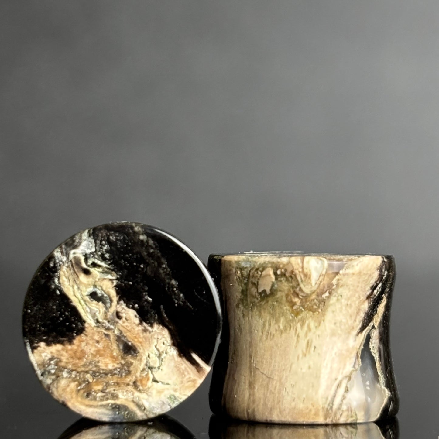 1/2"/ 12.5mm Petrified Palm Root