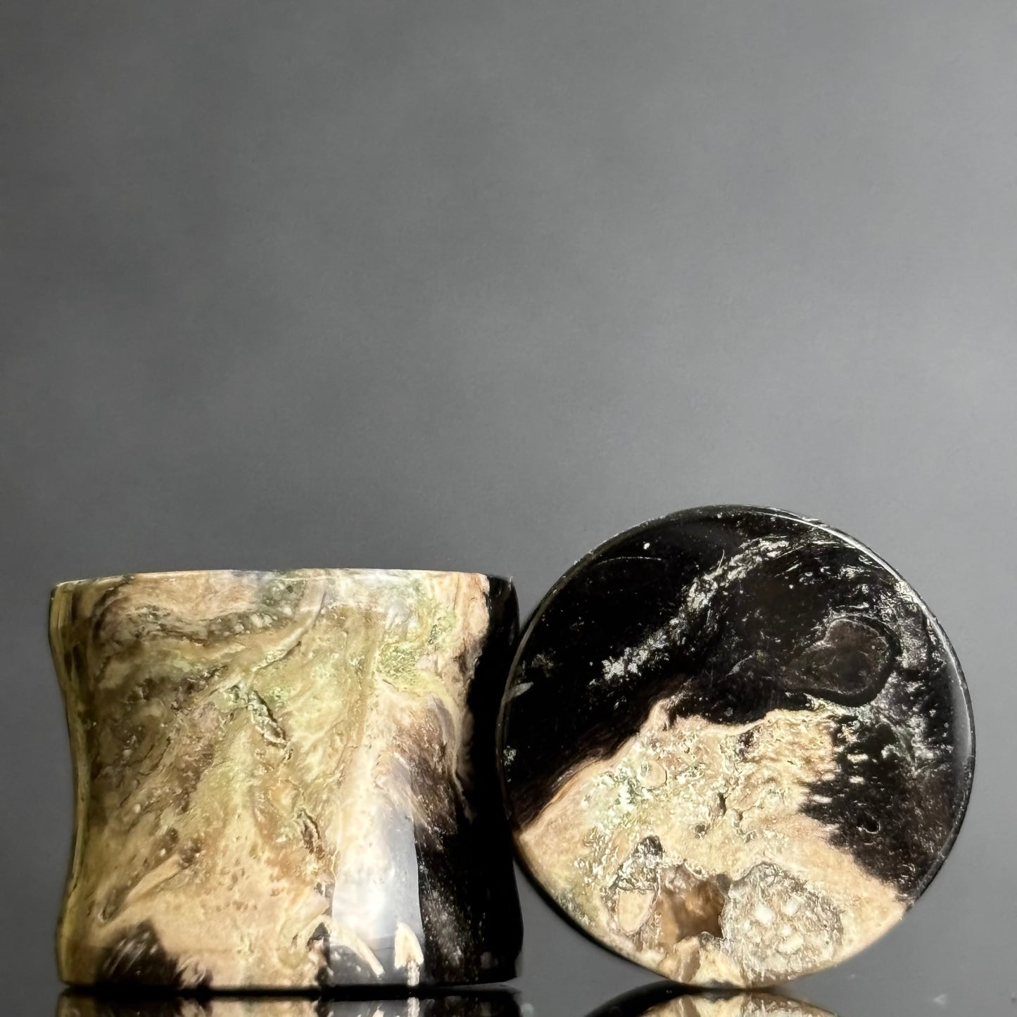 1/2"/ 12.5mm Petrified Palm Root