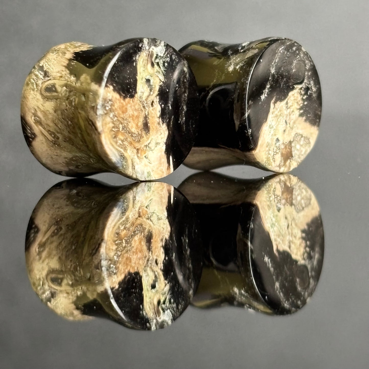 1/2"/ 12.5mm Petrified Palm Root