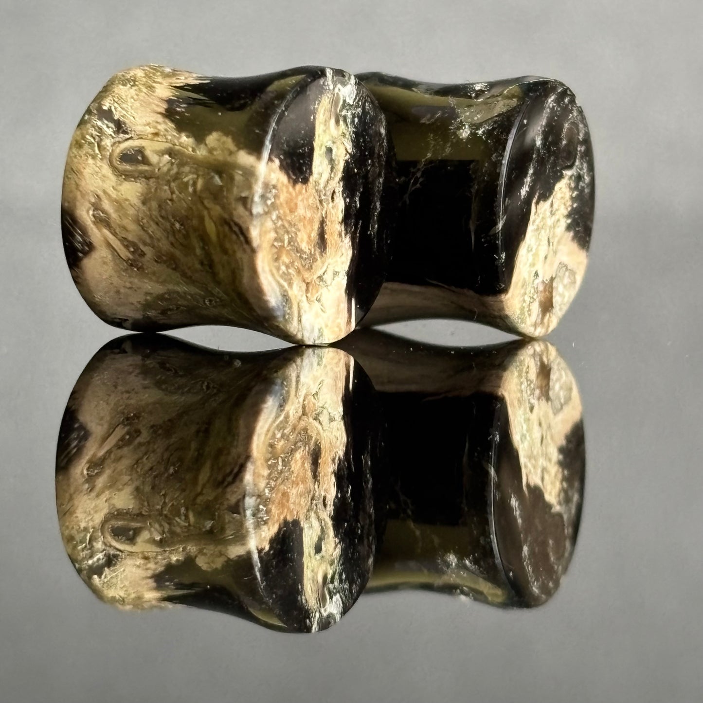 1/2"/ 12.5mm Petrified Palm Root