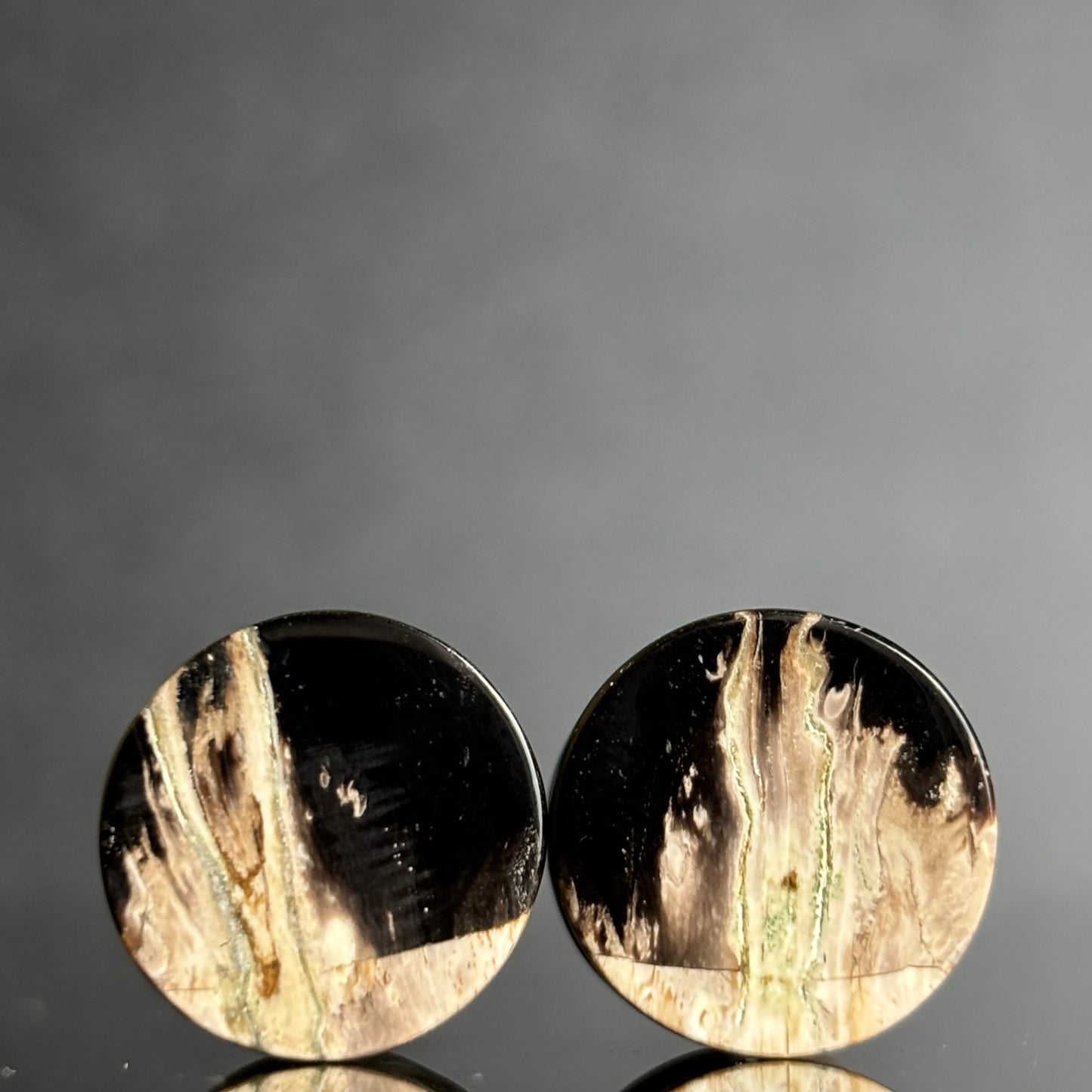 9/16" / 14mm Petrified Palm Root