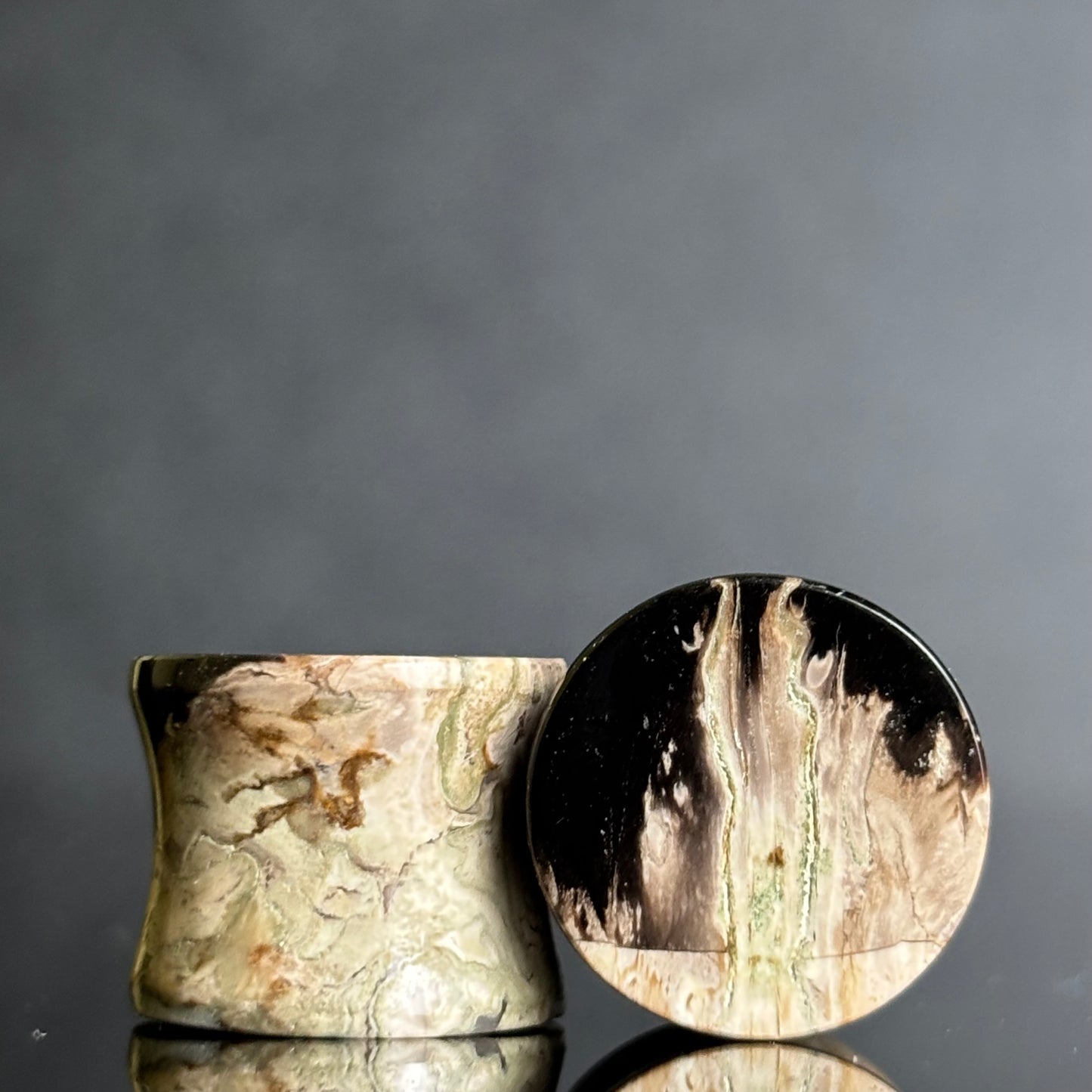 9/16" / 14mm Petrified Palm Root