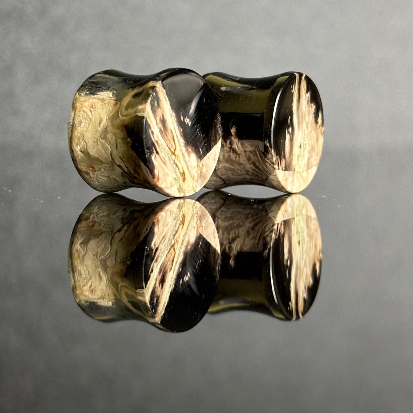 9/16" / 14mm Petrified Palm Root