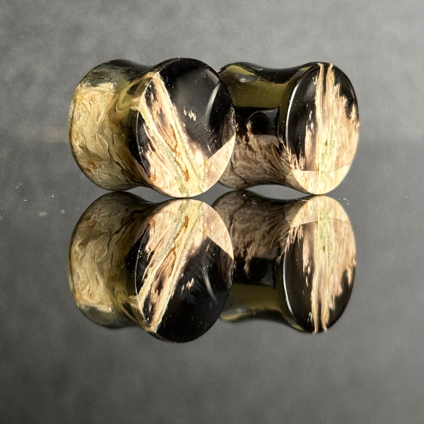 9/16" / 14mm Petrified Palm Root