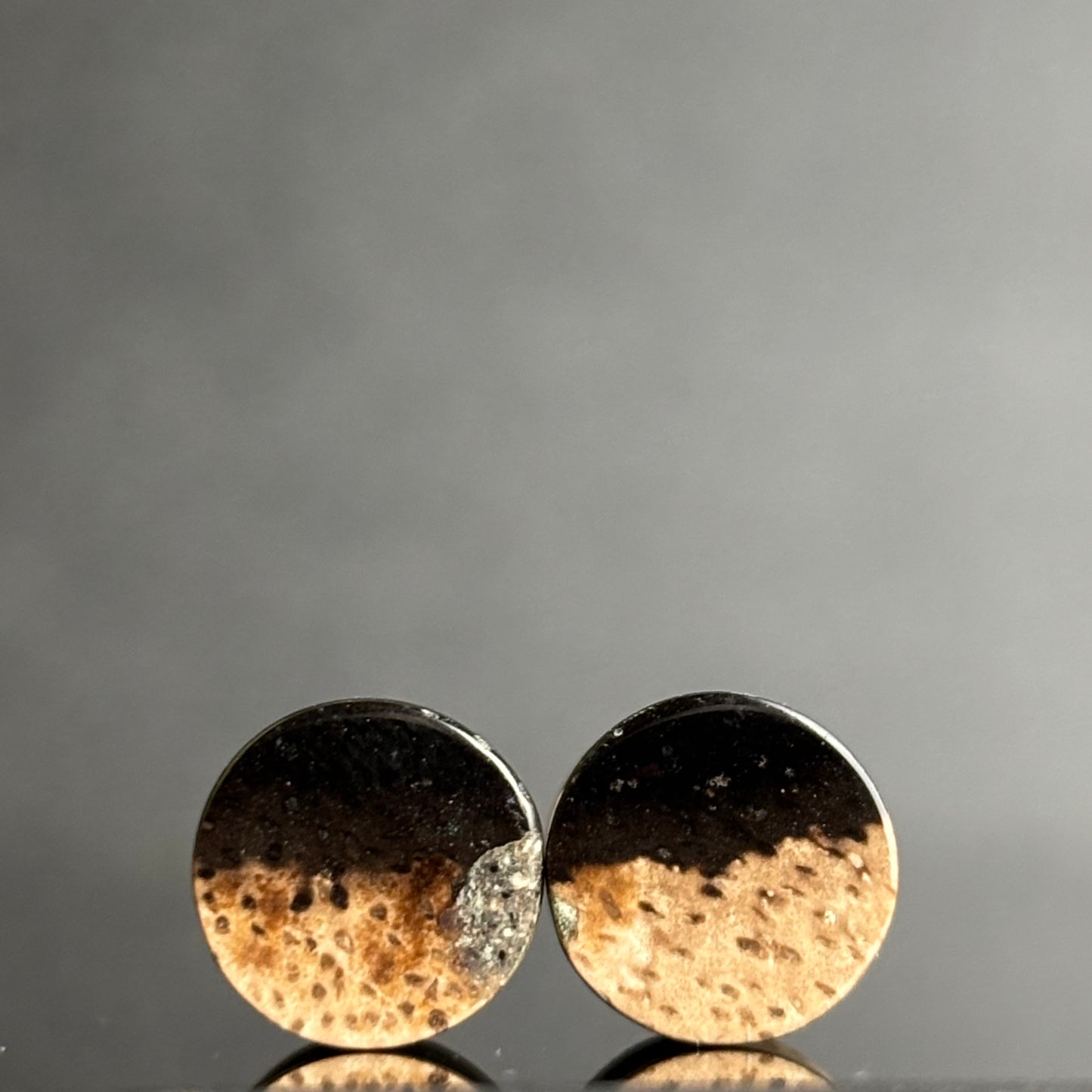 0g / 8mm Petrified Palm Root