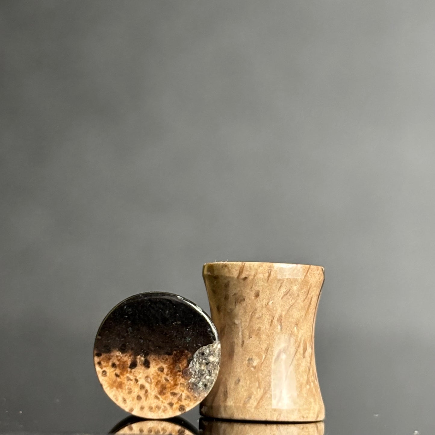 0g / 8mm Petrified Palm Root