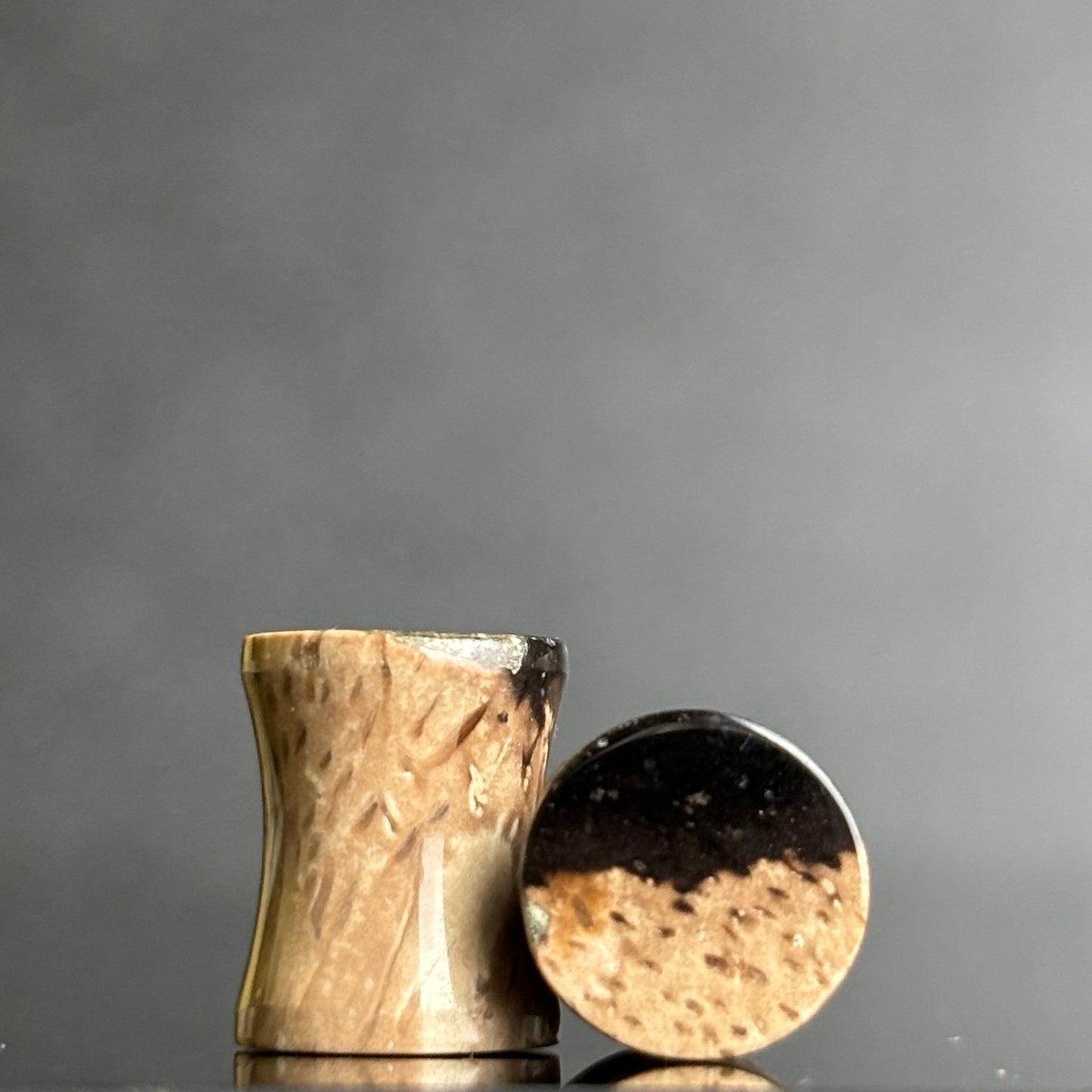 0g / 8mm Petrified Palm Root