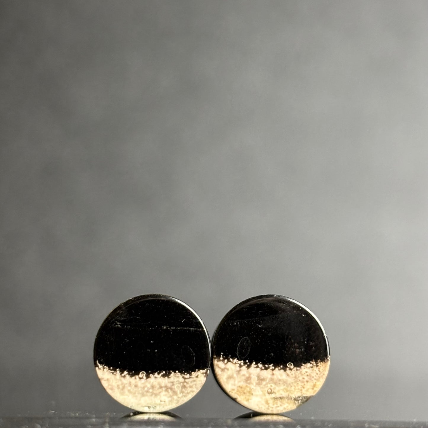 00g / 9.5mm Petrified Palm Root