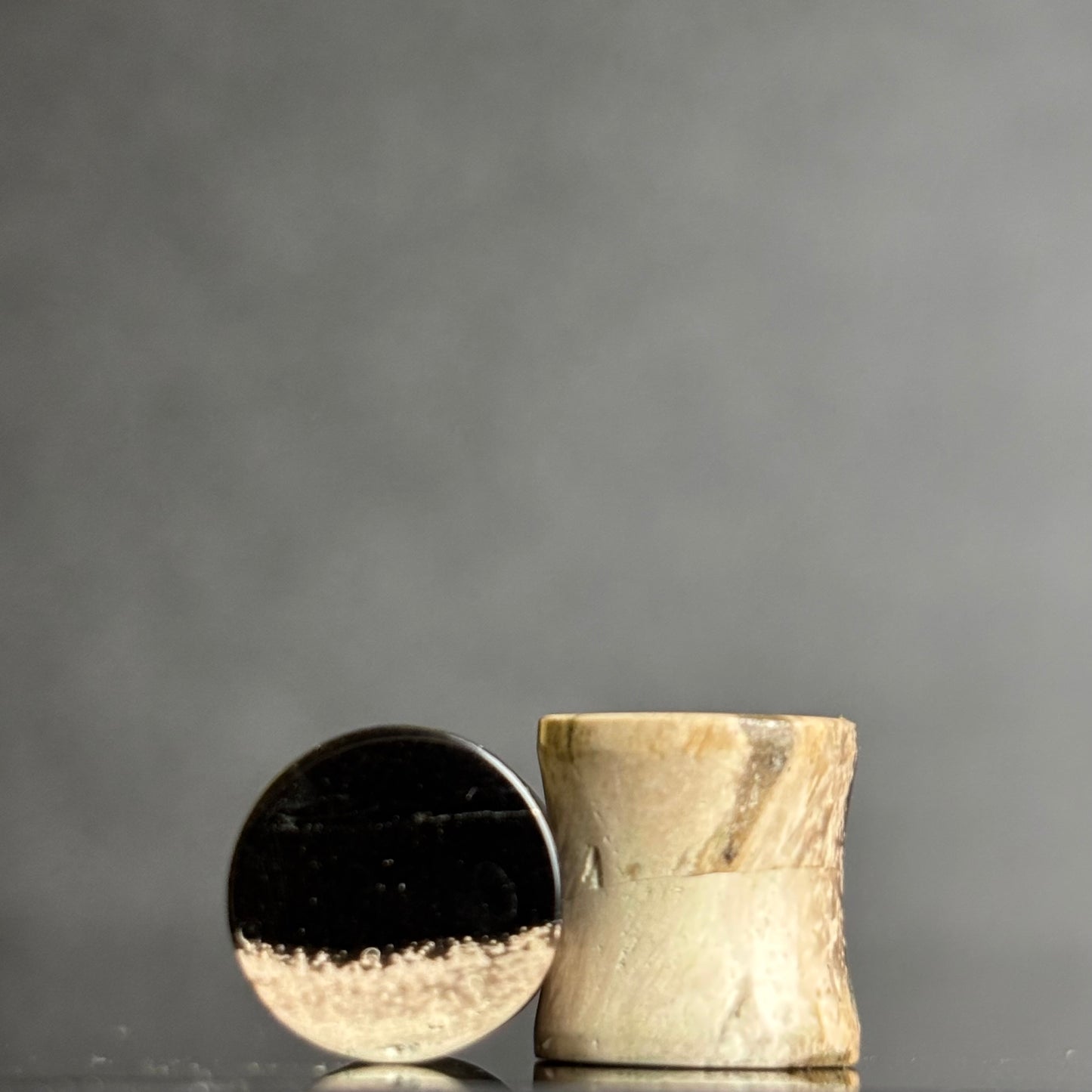 00g / 9.5mm Petrified Palm Root