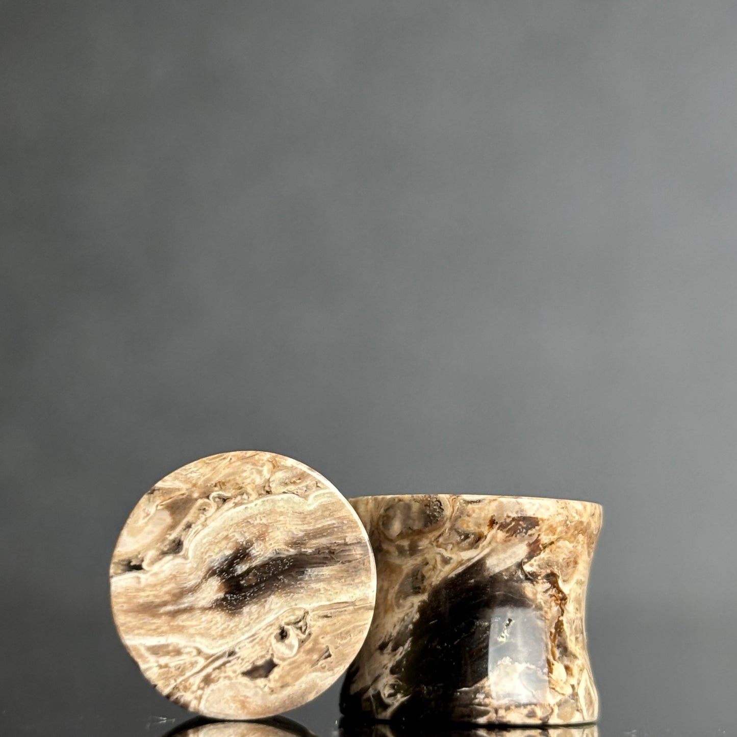 1/2" / 12.5mm Petrified Palm Root