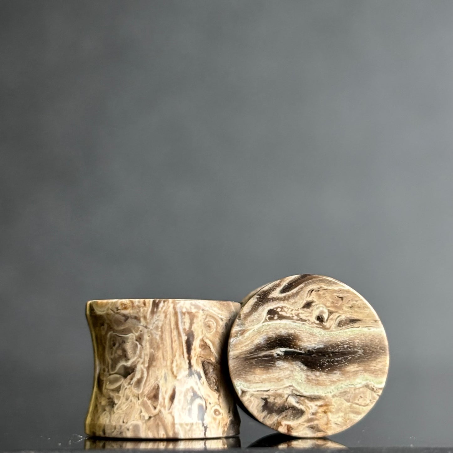 1/2" / 12.5mm Petrified Palm Root