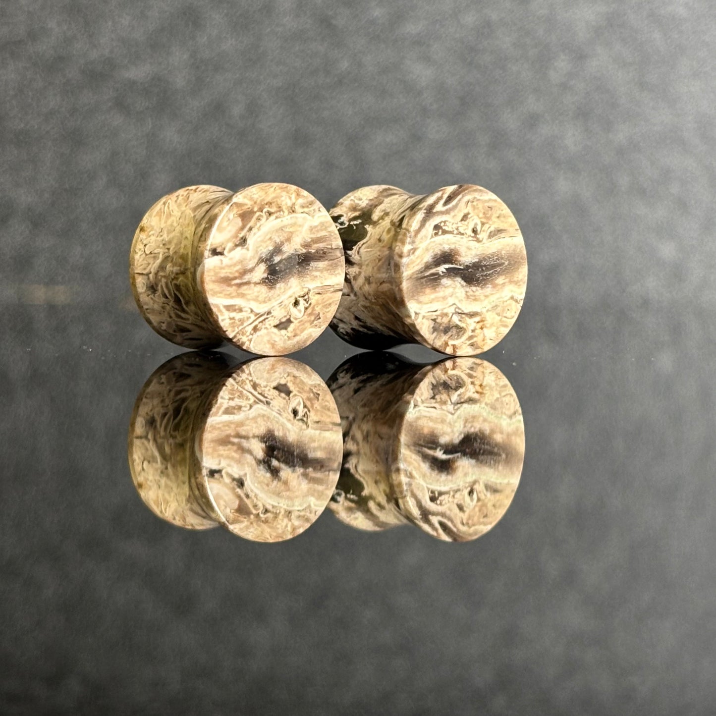 1/2" / 12.5mm Petrified Palm Root