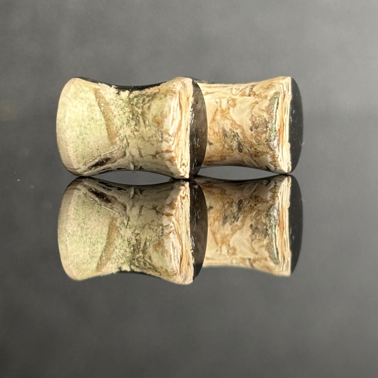 0g / 8mm Petrified Palm Root