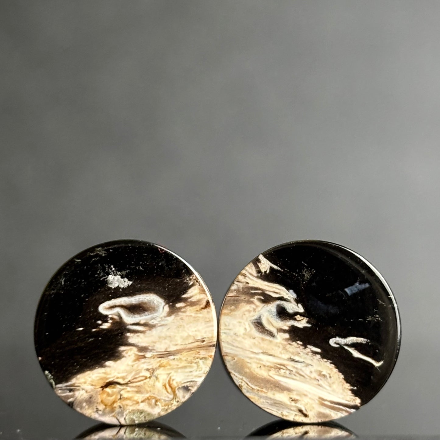 1/2" / 12.5mm Petrified Palm Root