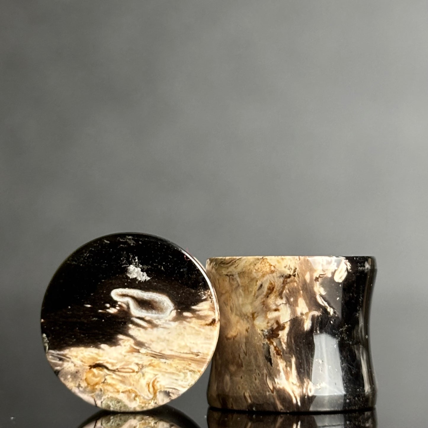 1/2" / 12.5mm Petrified Palm Root