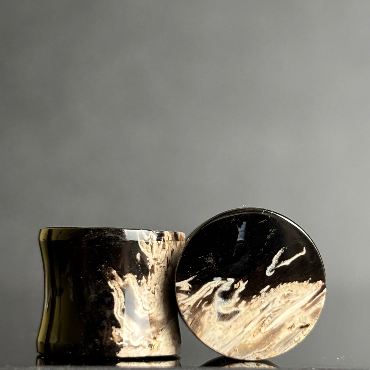 1/2" / 12.5mm Petrified Palm Root