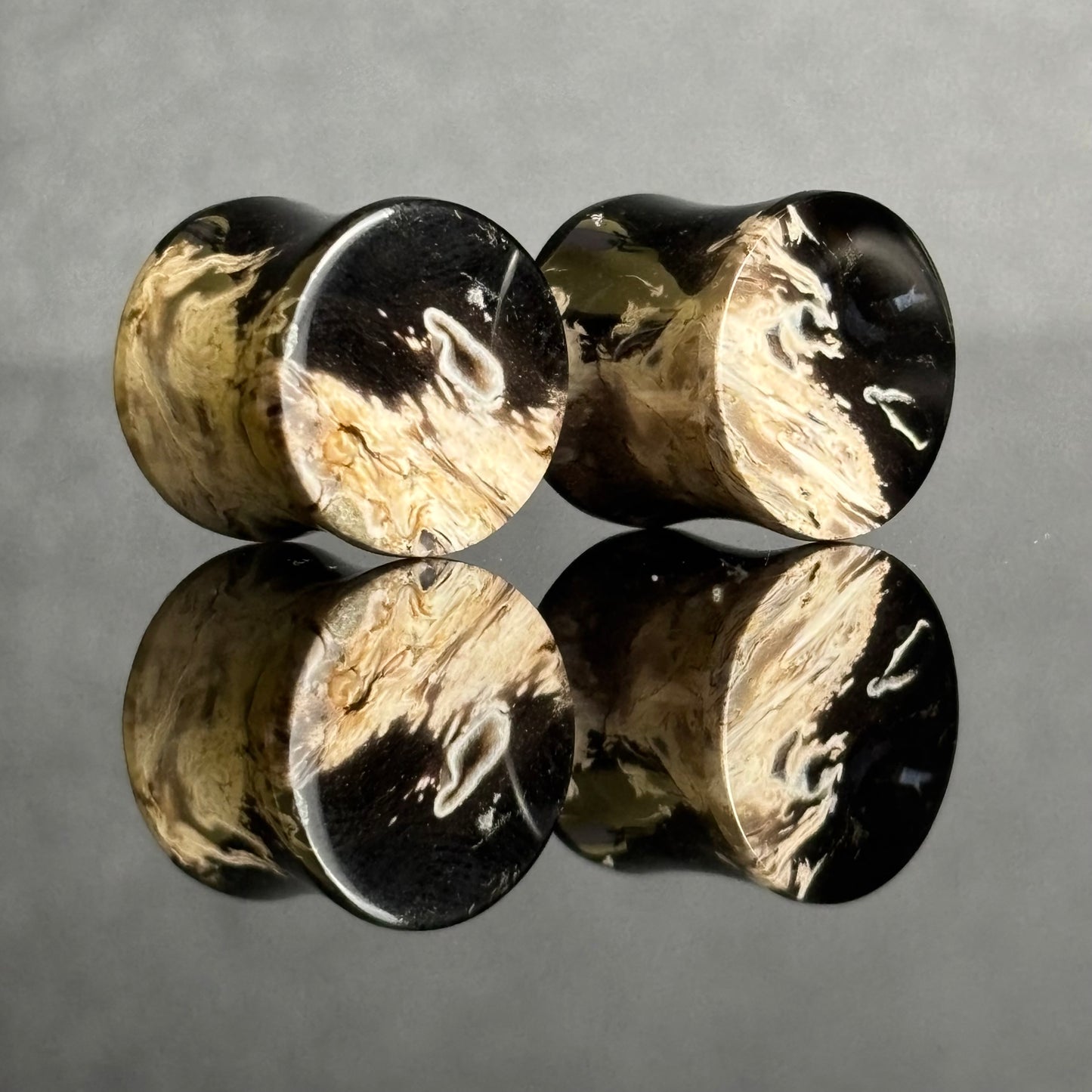 1/2" / 12.5mm Petrified Palm Root