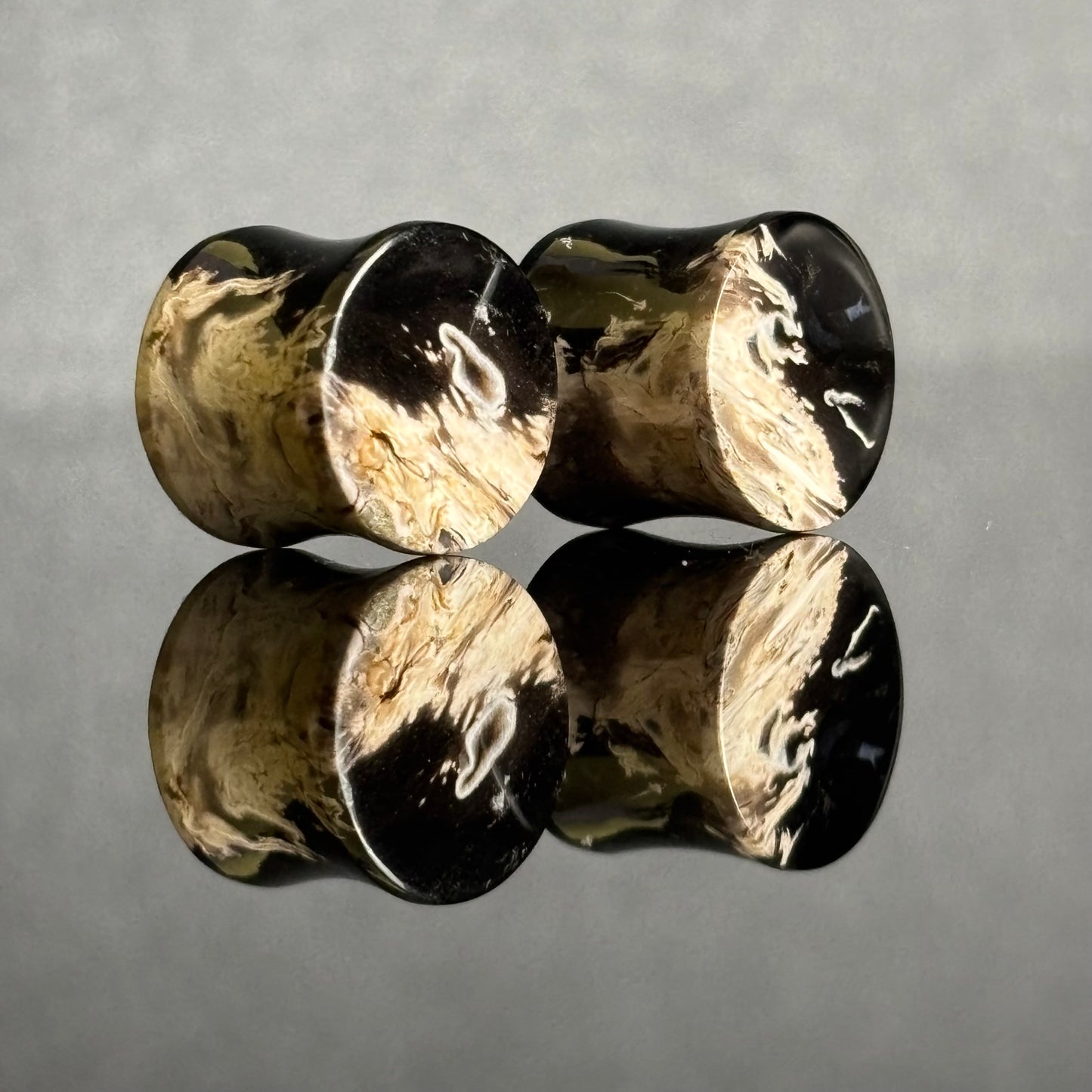 1/2" / 12.5mm Petrified Palm Root