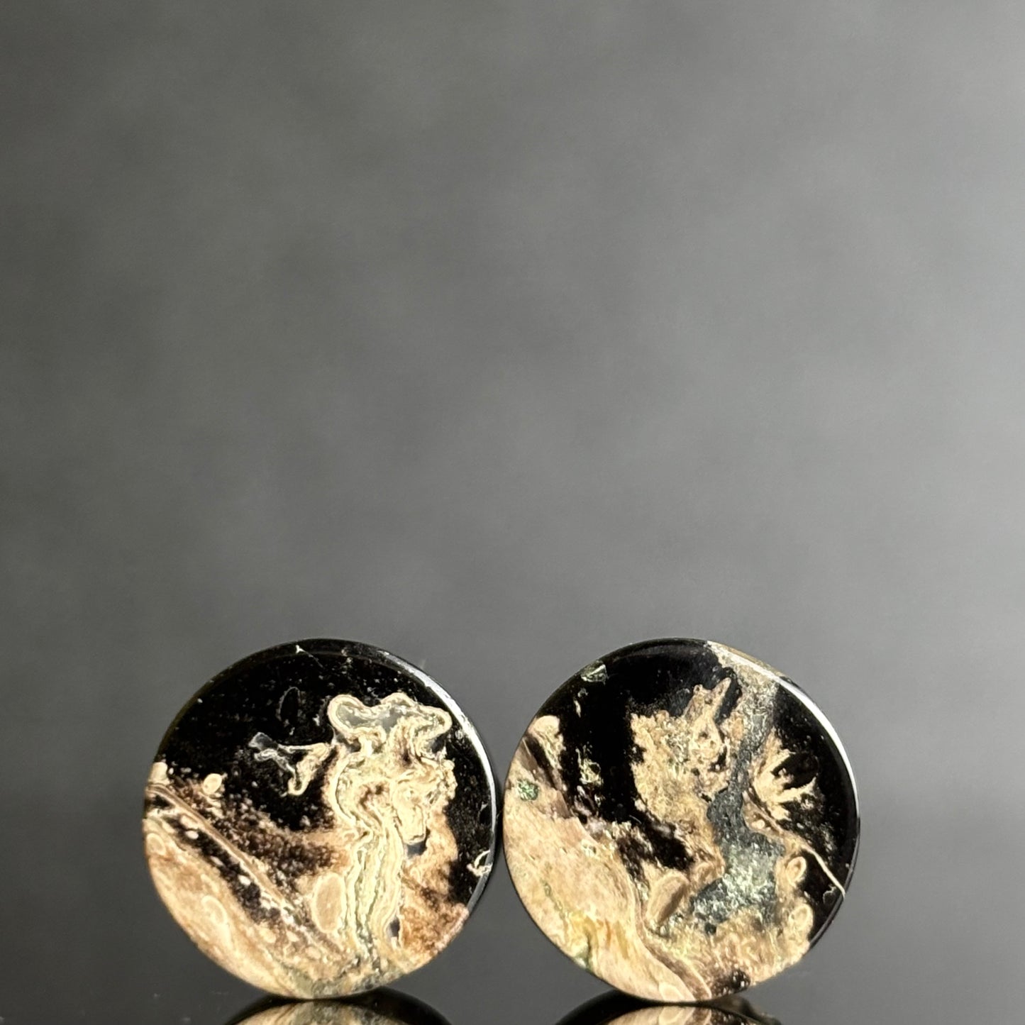 7/16" / 11mm Petrified Palm Root