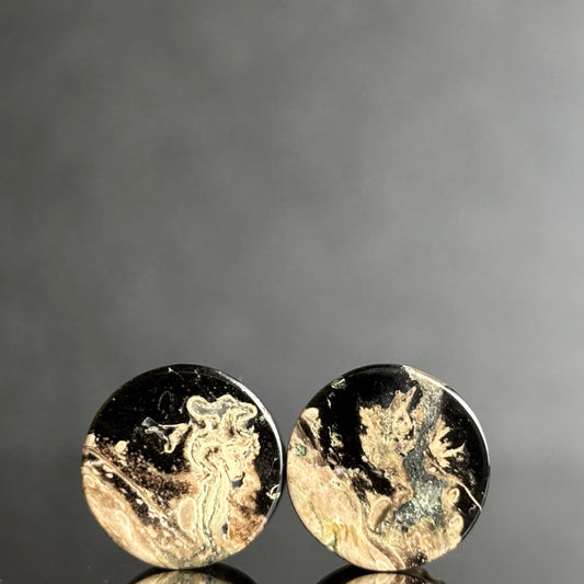 7/16" / 11mm Petrified Palm Root