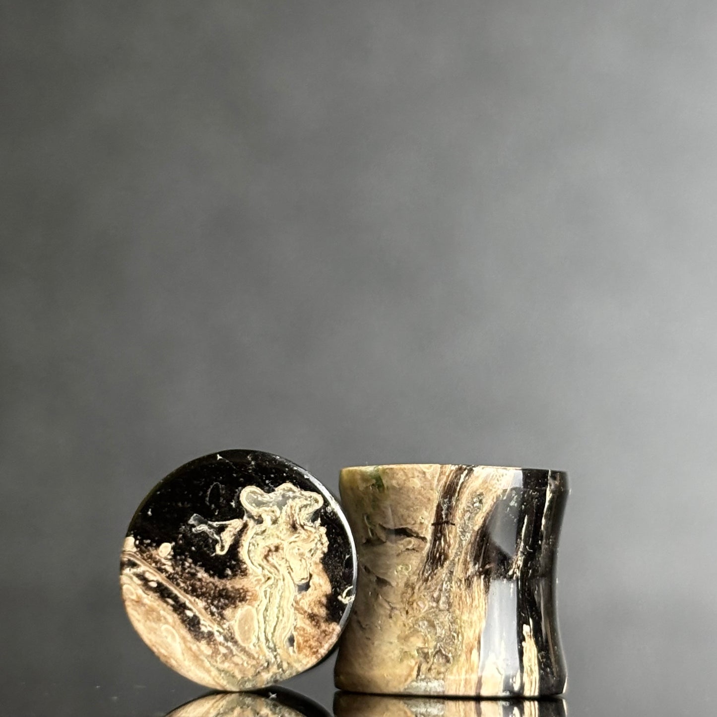 7/16" / 11mm Petrified Palm Root